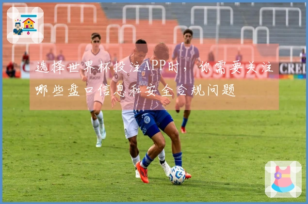 选择世界杯投注APP时，你需要关注哪些盘口信息和安全合规问题