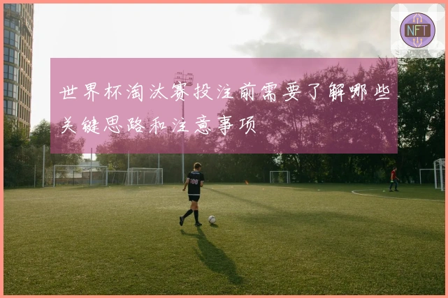 必赢体育资讯图片