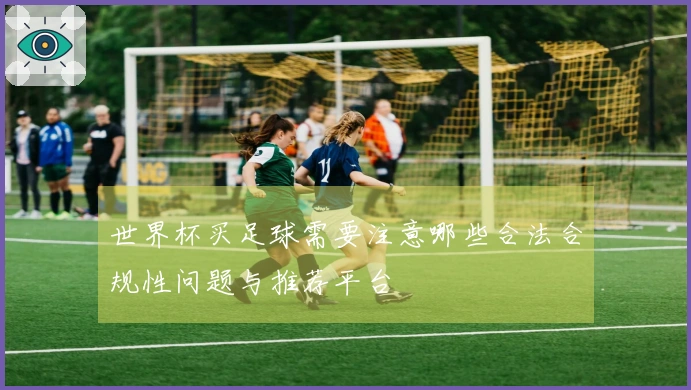 世界杯买足球需要注意哪些合法合规性问题与推荐平台