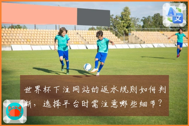 世界杯下注网站的返水规则如何判断，选择平台时需注意哪些细节？